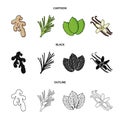 Ginger, rosemary, vanilla, mint.Herbs and spices set collection icons in cartoon,black,outline style vector symbol stock Royalty Free Stock Photo