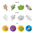 Ginger, rosemary, vanilla, mint.Herbs and spices set collection icons in cartoon,outline,flat style vector symbol stock Royalty Free Stock Photo