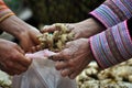 Ginger seller on a Vietnamese market Royalty Free Stock Photo