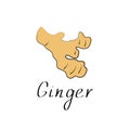 Ginger Sketch Vector Illustration For Food Design. Flat icon