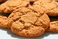 Ginger Snap Cookies Royalty Free Stock Photo