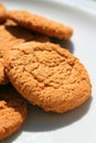 Ginger Snap Cookies Royalty Free Stock Photo