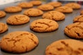 Freshly Baked Gingersnap Cookies Closeup Royalty Free Stock Photo