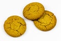 Ginger snap cookies snaps individual Christmas holiday festive food Royalty Free Stock Photo