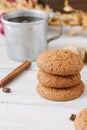 Ginger snaps on white Royalty Free Stock Photo