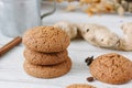 Ginger snaps on white Royalty Free Stock Photo