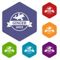 Ginger spice icons vector hexahedron