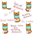 Ginger-striped red cats in protective medical masks and inscriptions about the need to observe the social distance. social