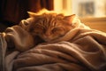 Ginger tabby cat sleeping on bed. Happy cute kitten resting at home. Adorable pet sleep on cozy white plaid. Royalty Free Stock Photo