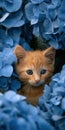 Cute ginger kitten hiding among blue hydrangea flowers Royalty Free Stock Photo