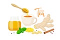 Ginger Tea. Cup of tea. Ingredients for tasty and healthy hot drink. Ginger root, lemon slice, honey can, mint, cinnamon