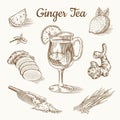 Ginger tea poster. Chopped rhizome or root, Fresh plant, Bag and tea in glass cup. Vector Engraved hand drawn sketch