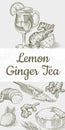 Ginger tea poster. Chopped rhizome or root, Fresh plant, Bag and tea in glass cup. Vector Engraved hand drawn sketch Royalty Free Stock Photo