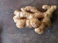 ginger used for cooking mixed spice ingredients  on wooden table background? Royalty Free Stock Photo