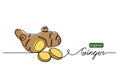 Ginger vector illustration. One line drawing art illustration with lettering organic ginger