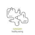 Ginger. Vector line icon.