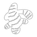 Ginger vector outline icon. Vector illustration root on white background. Isolated outline illustration icon of ginger . Royalty Free Stock Photo