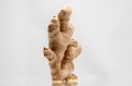 Ginger, which came from antiquity, has remained just as tasty. Royalty Free Stock Photo