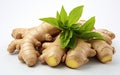 Ginger White Background Royalty Free Stock Photo