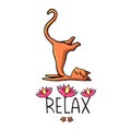 A ginger yoga cat with an inscription decorated with pink lotuses.