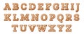 Gingerbread Cartoon Alphabet Isolated on White. English Letters