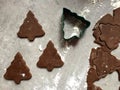 Gingerbread Christmas cookie dough rolled and cut into tree shapes Royalty Free Stock Photo