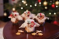 Gingerbread Christmas cookies  in the glass jar.  Christmas spices and decor close up. Festive background with bokeh and light. Royalty Free Stock Photo