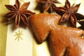 Gingerbread Christmas tree with aniseed