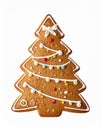 Gingerbread Christmas Tree Cookie Decorated with White Icing on White Background Royalty Free Stock Photo