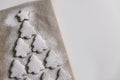 Gingerbread Christmas tree sprinkled with powdered sugar on parchment