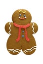 Gingerbread Cookie Royalty Free Stock Photo