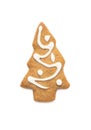 Gingerbread cookie of a Christmas tree with icing isolated on white background Royalty Free Stock Photo