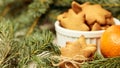 Gingerbread Cookie. Delicious tangerine. Fir branch. New Year Royalty Free Stock Photo
