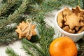 Gingerbread Cookie. Delicious tangerine. NewYear. Fir branch. Small stars Royalty Free Stock Photo