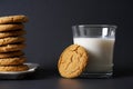 A gingerbread cookie leans on a glass of cold milk next to a stack of cookies on a white plate with a black background Royalty Free Stock Photo