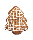 Gingerbread cookie made in the shape of a Christmas tree