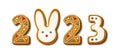 Gingerbread cookie numerals 2023 and bunny in cartoon style. Sweet biscuit number and rabbit with ears in new year