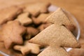 Gingerbread Cookie. Shape Christmas tree. Brown background Royalty Free Stock Photo