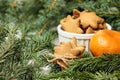 Gingerbread Cookie. Small stars. Delicious tangerine. Fir branch. NewYear Royalty Free Stock Photo