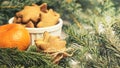 Gingerbread Cookie. Small stars. Delicious tangerine. Fir branch Royalty Free Stock Photo