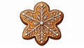 Gingerbread Cookie Snowflake Ornament with White Icing on Isolated White Background Royalty Free Stock Photo