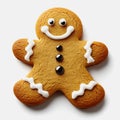Gingerbread Cookie on White Background Royalty Free Stock Photo