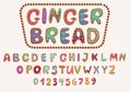 Gingerbread cookies alphabet vector set