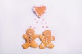 Gingerbread cookies couple for Valentines Day. Man and woman with emotions in the shape of hearts on the white background. Love an Royalty Free Stock Photo