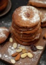 Gingerbread cookies dusted with icing sugar on a wooden table