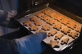 Gingerbread cookies fresh out of the oven