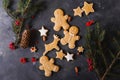 Gingerbread cookies on a gray background. Christmas cookies.