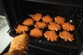 Gingerbread cookies with orange icing in the shape of fallen autumn leaves freshly baked out of the oven Royalty Free Stock Photo