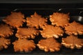 Gingerbread cookies with orange icing in the shape of fallen autumn leaves freshly baked out of the oven. Thanksgiving Day or Royalty Free Stock Photo