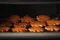 Gingerbread cookies with orange icing in the shape of fallen autumn leaves freshly baked out of the oven. Thanksgiving Day or Royalty Free Stock Photo